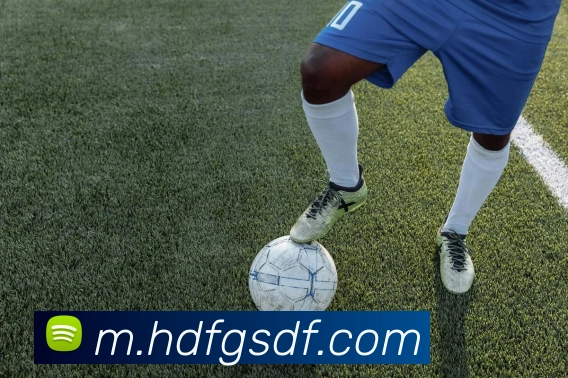 巅峰国际发展历程